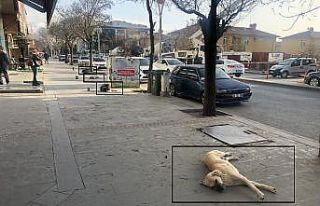 Sosyal mesafeli şekerleme