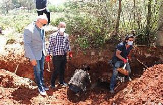 Su kanalı kazısında antik mezar bulundu