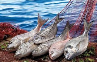 Su ürünleri ve hayvansal mamuller sektörü ihracatta...