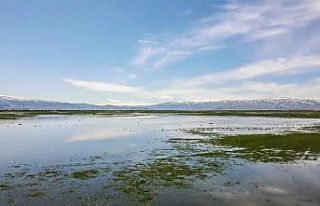 Sular altında kalan Ardahan Ovası drone ile görüntülendi