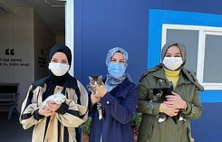 Sultanbeyli Belediyesinden “Sevimli Partilere Yuva...