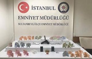 Sultanbeyli Kaymakamlığı’nın koordinasyonunda...