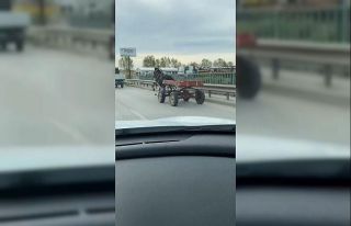 Sürücüsüz at arabası trafiği bir birine kattı