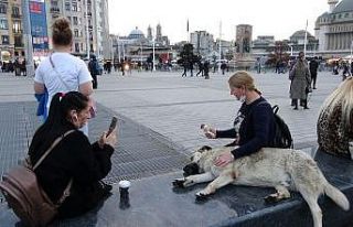 Taksim’de köpeğin turistlerle dondurma keyfi