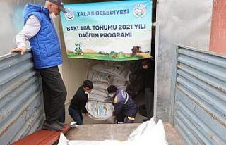 Talas’tan tohum desteği devam ediyor