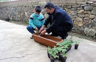 Tam kapanmayla Akdağmadeni’nde evlerde çilek yetiştirilecek
