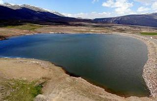 Tarım arazilerine can suyu oldu, 2 bin 600 dekar...