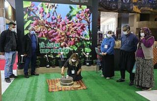 Tarım fuarının gözdesi Büyükşehir standı oldu