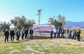 Tarımda haşerelere yönelik biyoteknikle mücadeleye...