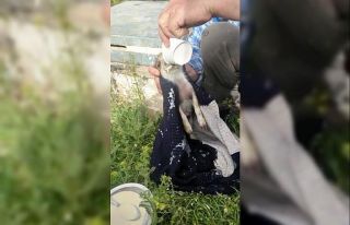 Tarlalarına zarar vereceğini bilmesine rağmen bulduğu...