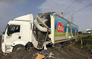 Tarlaya uçan tırın sürücüsü yaralandı