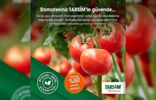 TARSİM: “Domates ürününüz güvende”