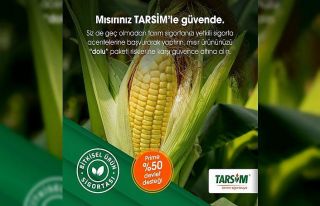 TARSİM: “Mısır ürününüz güvende”