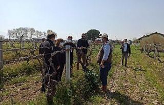 TARSİM’den Bursa ve Manisa’ya ziyaretler