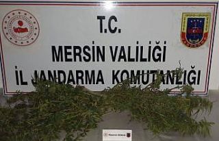 Tarsus’ta uyuşturucu operasyonu