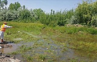 Tatvan’da ilaçlama çalışması