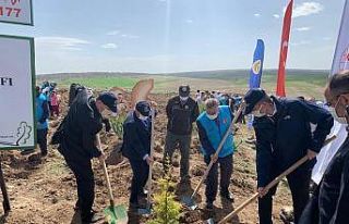 TDV’den ’1 İyilik 1 Fidan’ projesi