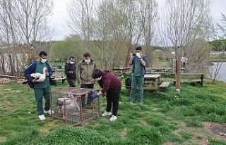 Tedavisi tamamlanan pelikan ve leylek doğaya bırakıldı
