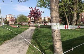 Tedbirlerin hiçe sayıldığı park şeritlerle kapatıldı