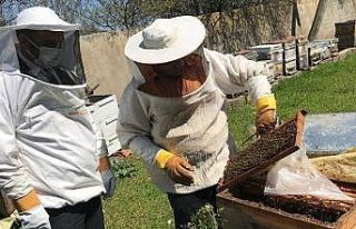 Tekirdağ’da arı kovanları bakımdan geçiyor