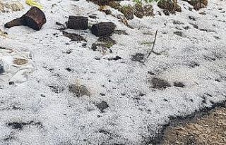 Tekirdağ’da bir mahalle beyaza büründü