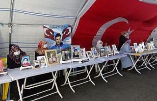 Terör örgütü PKK, intikam için genci dağa kaçırdı