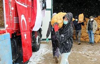 TMO, Nevşehir’de patates alımlarına başladı