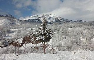 Tunceli’ye kış geri geldi, kar yağdı