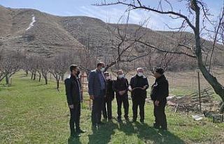 Tuşba Belediyesinden çiftçilere uygulamalı ağaç...