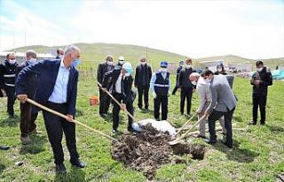 Tuşba Belediyesinden ‘Model Ceviz-Badem Bahçesi’...