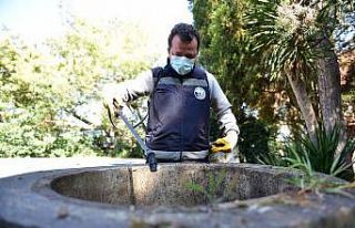 Tuzla’da larva ile mücadele erken başladı