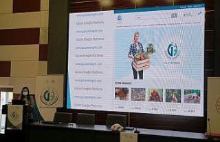 Üç ilde güçlerini birleştiren kadın kooperatifleri...