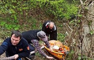 Uçuruma düşen inek sedye ile kurtarıldı