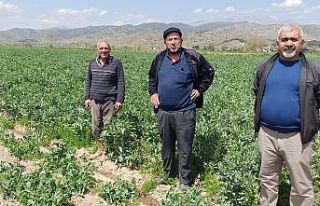 Üreticiler pazar yasaklarına esneklik istiyor