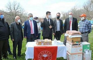 Üreticilere lavanta fidesi ve petek dağıtımı...