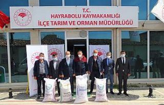 Üreticilere tohum desteği