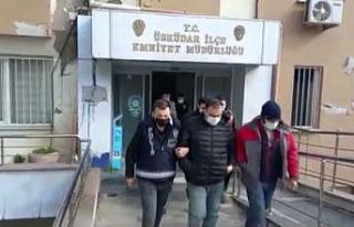 Üsküdar’da 35 bin lira para verip ağaçları...