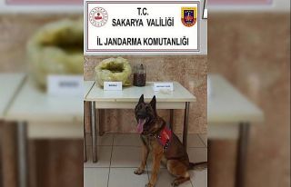 Uyuşturucu operasyonunda 6 buçuk kilo bonzai, 11...