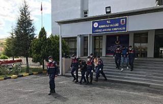 Uyuşturucu ticareti yapan suç örgütüne operasyon:...