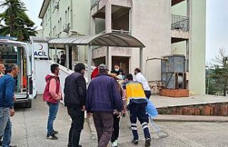 Üzerine tomruk düşen 17 yaşındaki genç hayatını...