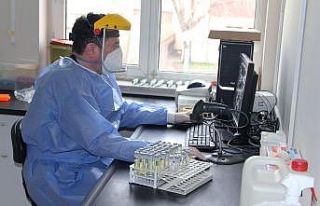 Vaka oranı 8 kat arttı, harita tamamen kırmızıya...