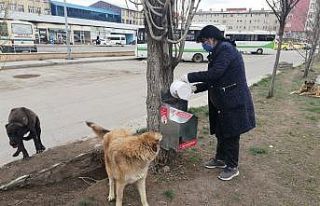 Vali Belediye Başkanı Öksüz, “Can Dostlarımıza...