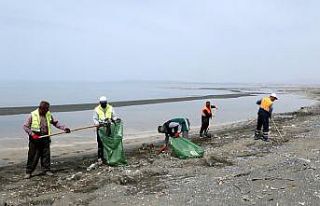 Van Gölü sahilinde temizlik çalışması
