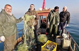 Van Gölü’nden inci kefali bereketi