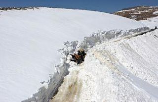 Van’da nisan ayında karla mücadele