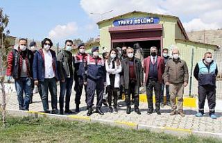 Van’da ‘Sokak Hayvanları Koruma Günü’ etkinliği