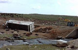Virajı alamayan kamyonet yan yattı: 50 koyun telef...