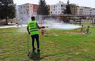 Viranşehir’de haşerelerle mücadele başladı