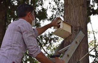 Viranşehir’de parkalara kuş yuvası yerleştirildi