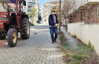 Yabani otla mücadele